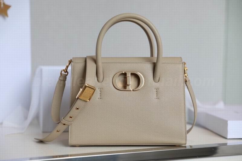 DIOR Handbags 116